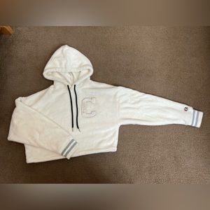 Champion cropped hoodie